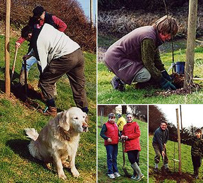 Planting the Orchard